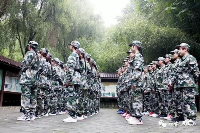 1501664370315509.jpg 7.jpg